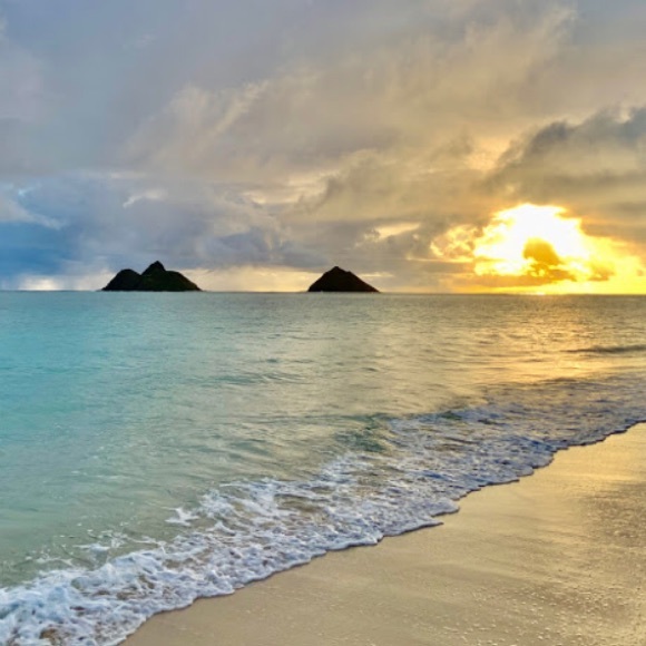 Hi, Welcome to my POSH closet! - Picture 1 of 3